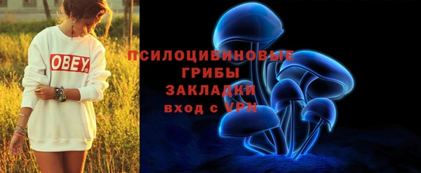 дмт Алексеевка