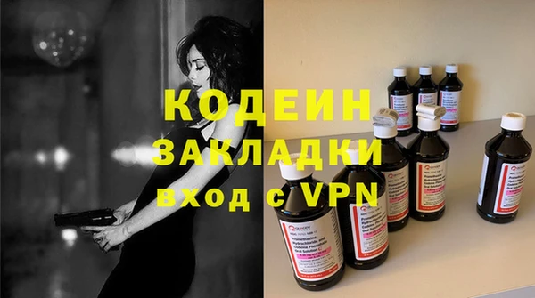 хмурый Алзамай