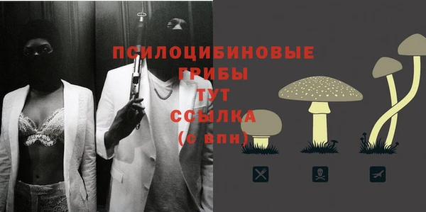 хмурый Алзамай