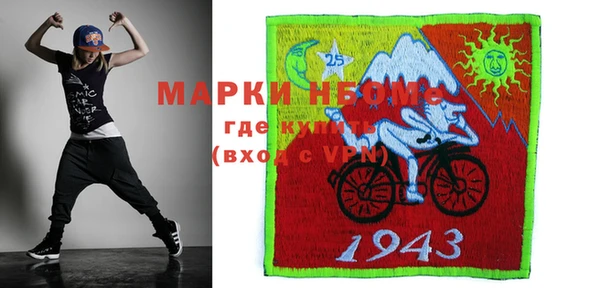 хмурый Алзамай