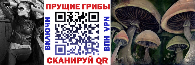 Галлюциногенные грибы прущие грибы  маркетплейс как зайти  Пермь 